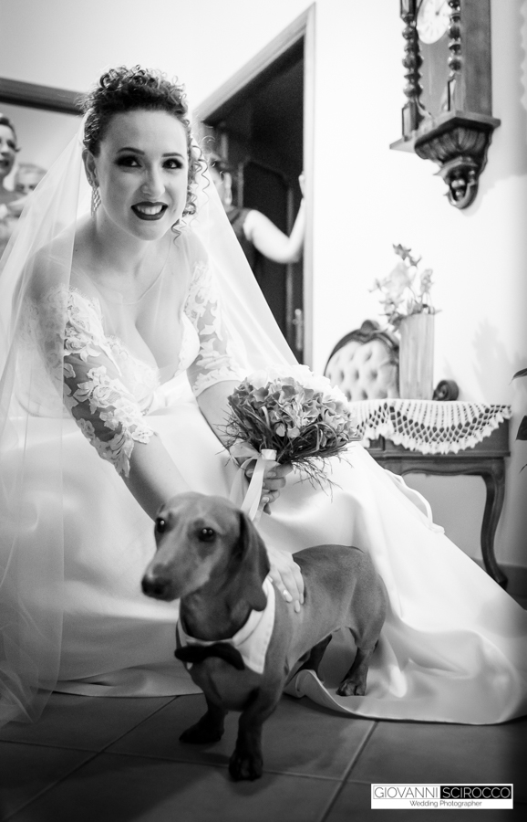 Amico a quattro zampe Sposa